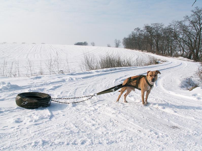 trenujeme a pozujeme