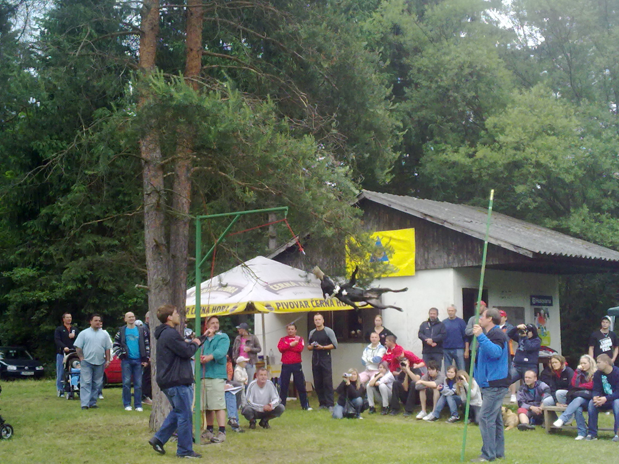 high jump 1