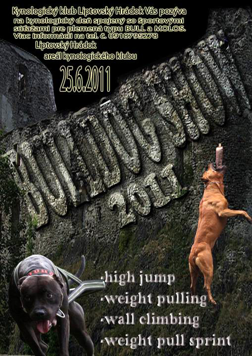 bulldog show 