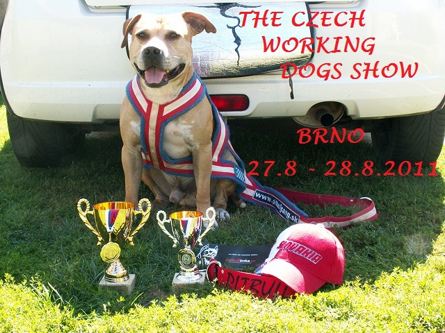 The Czech Working Dogs Show 2011