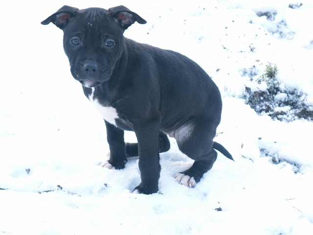 princeznicka (: