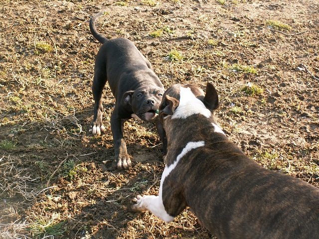 tug of war