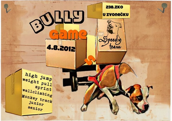 Bully Game