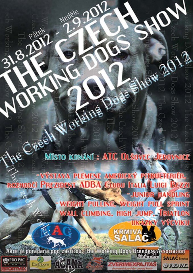 CWDS