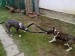 aj tak nechcem bicykel