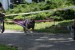 weight pull sprint
