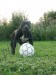 . . . futbal to je hra (: